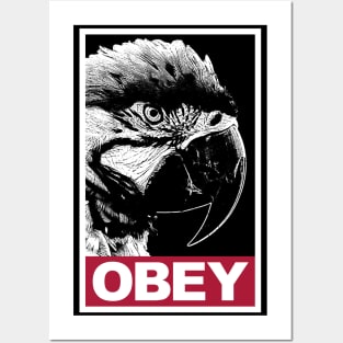 Obey the Macaw Parrot Posters and Art